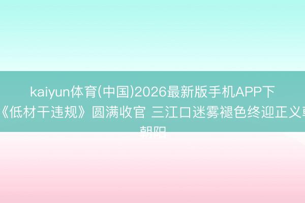 kaiyun体育(中国)2026最新版手机APP下载 《低材干违规》圆满收官 三江口迷雾褪色终迎正义朝阳