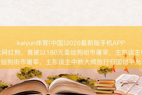 kaiyun体育(中国)2026最新版手机APP下载 随同9年的百万粉丝网红狗，竟被以180元卖给狗街市屠宰，主东谈主中断大师旅行归国讨平允