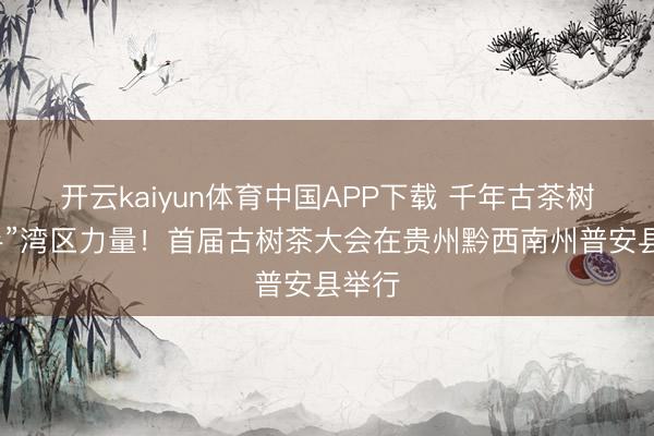开云kaiyun体育中国APP下载 千年古茶树“牵手”湾区力量！首届古树茶大会在贵州黔西南州普安县举行