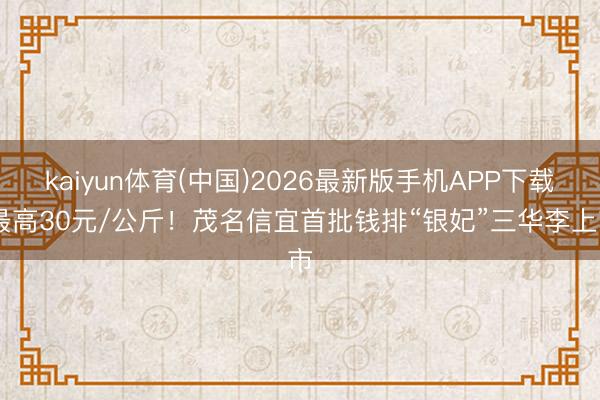 kaiyun体育(中国)2026最新版手机APP下载 最高30元/公斤！茂名信宜首批钱排“银妃”三华李上市